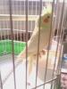 mi ninfa!